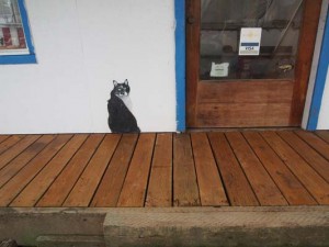 Mural cat waiting by clubhouse door - St. Helens Marina public art.